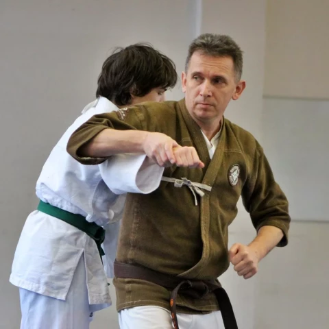 Aiki jujutsu