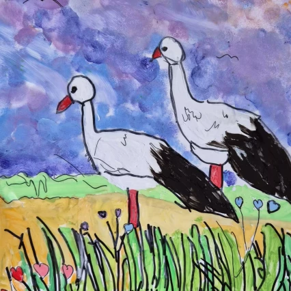 Bocian biały, bocian czarny