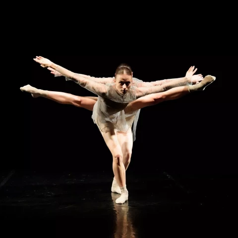 Pracownia Tańca Współczesnego