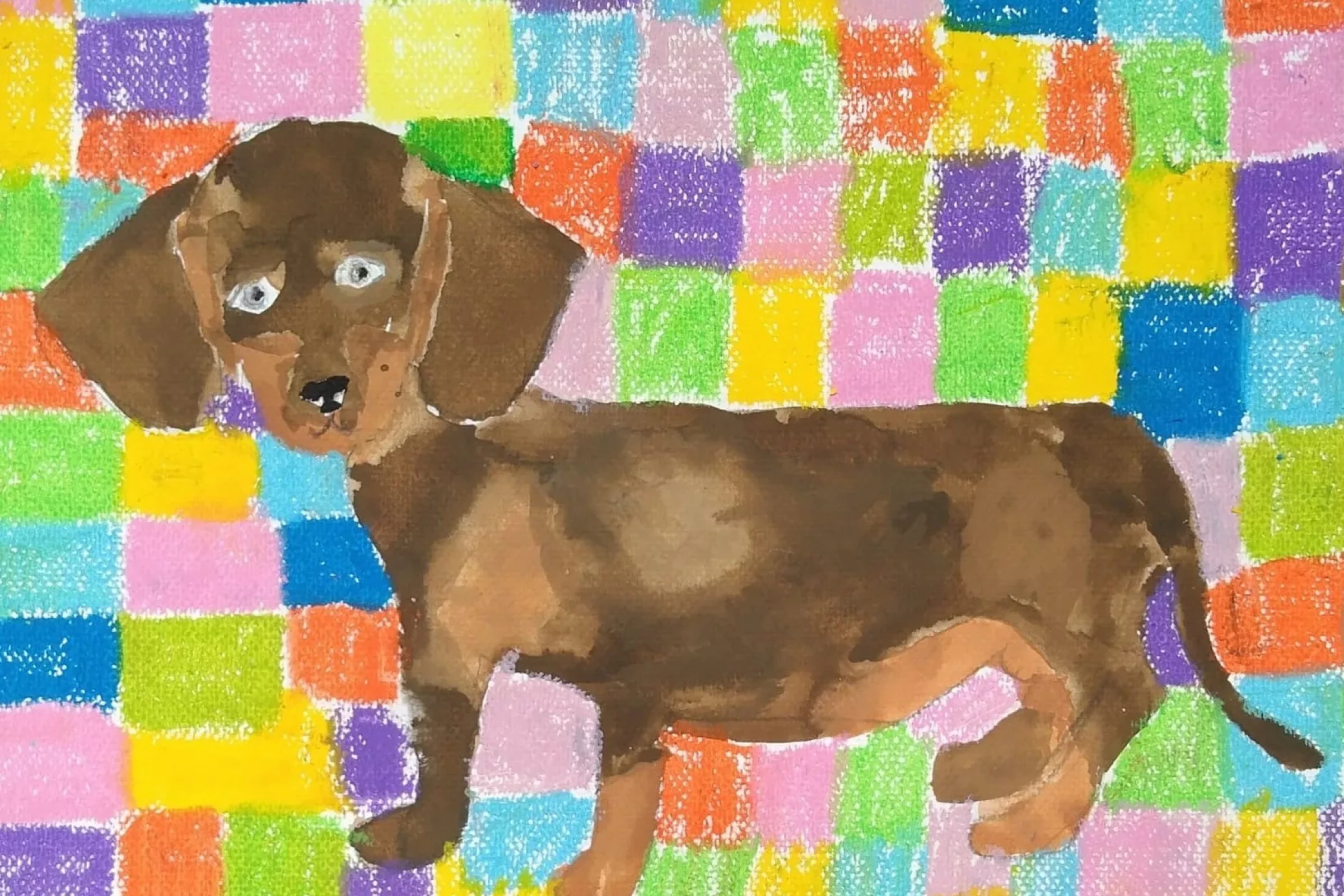 474806338-1037843445053006-2383693404027516302-n