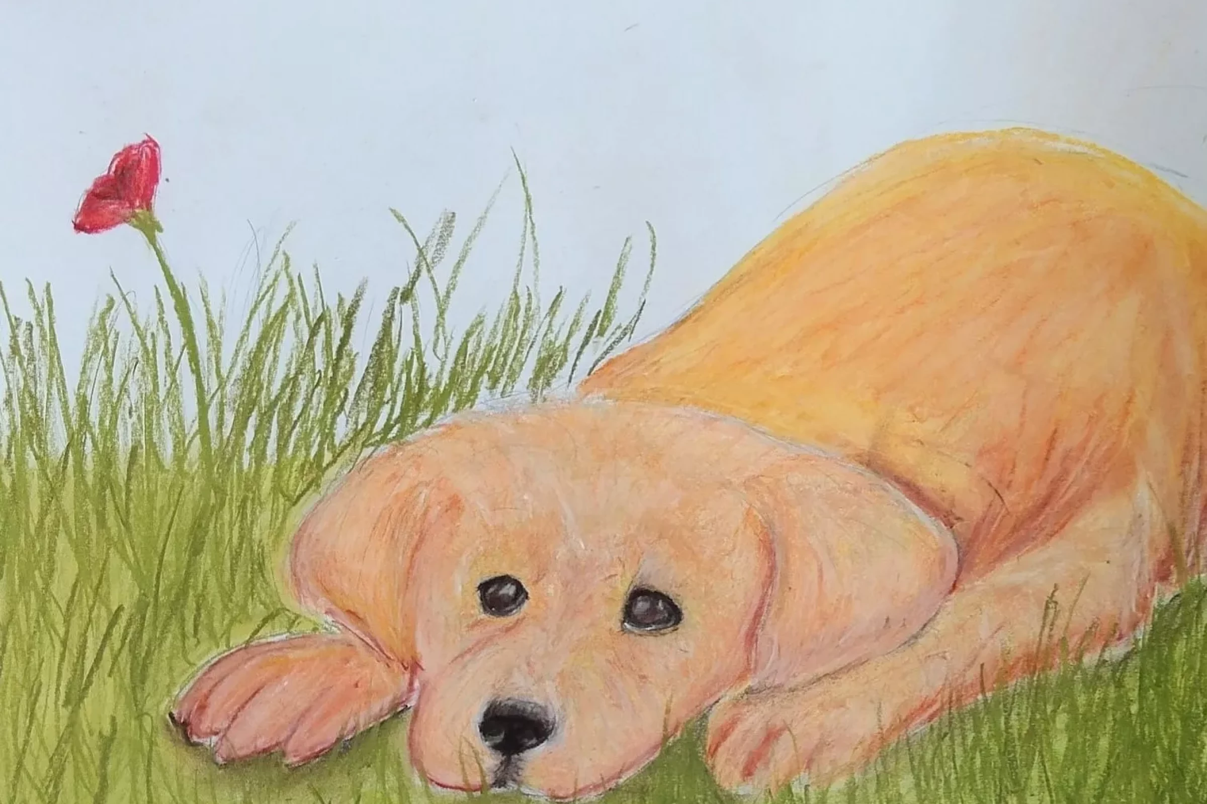 475074674-1037843468386337-7179773852659410781-n