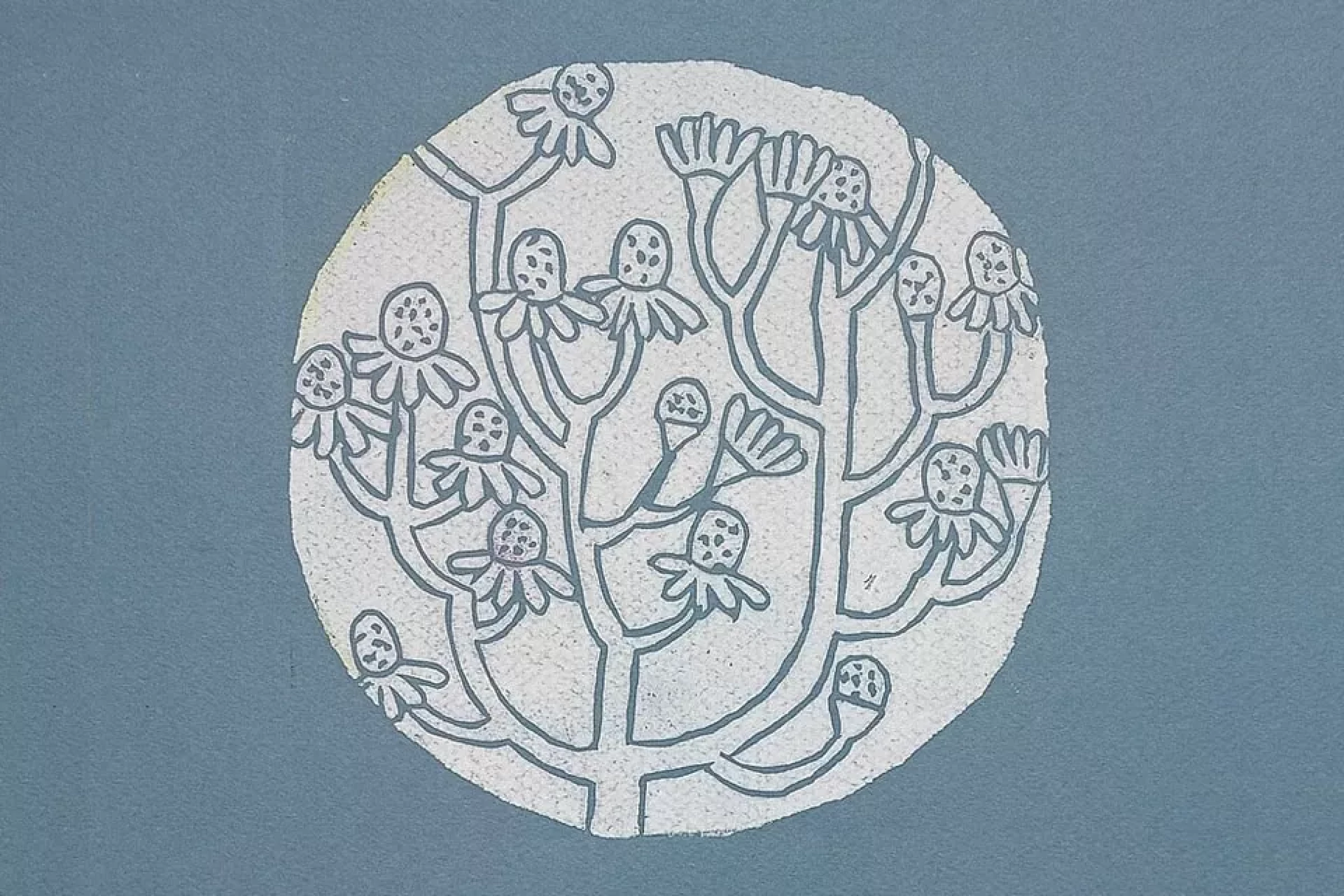 481336318-1066550472182303-4820941395405700525-n