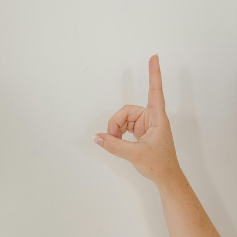 Warsztaty teatralne z elementami języka migowego